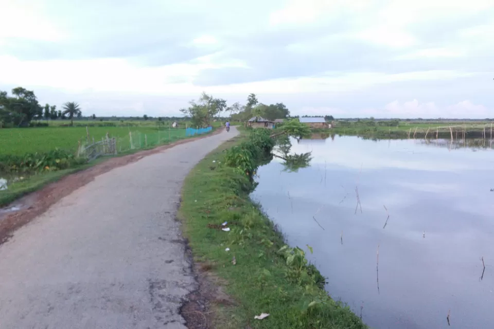 Paved rural road in developing country with water on either side.
